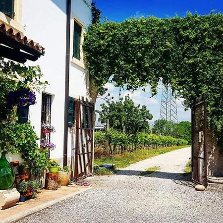 Corte Le Vigne Acomodação com café da manhã Verona Exterior foto